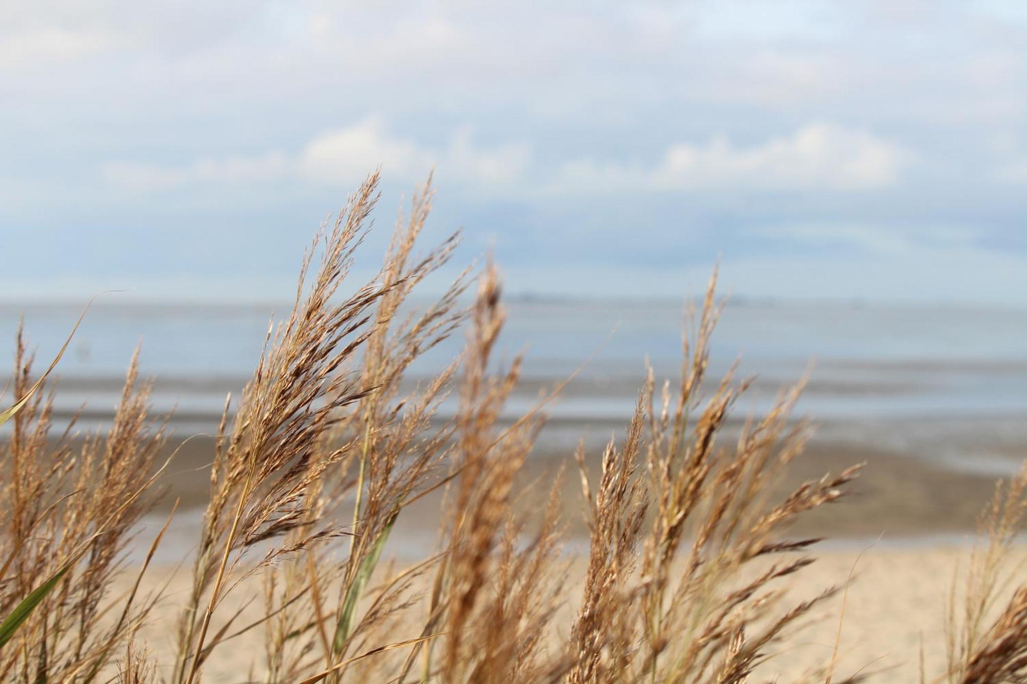 Steffis-Strand-Schule Cuxhaven Eksteriør billede
