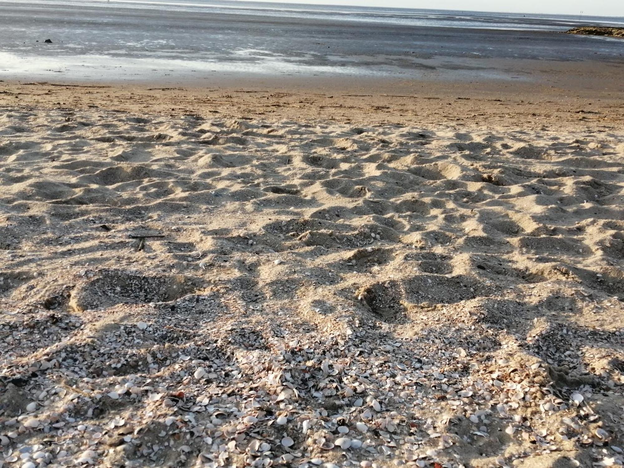 Steffis-Strand-Schule Cuxhaven Eksteriør billede